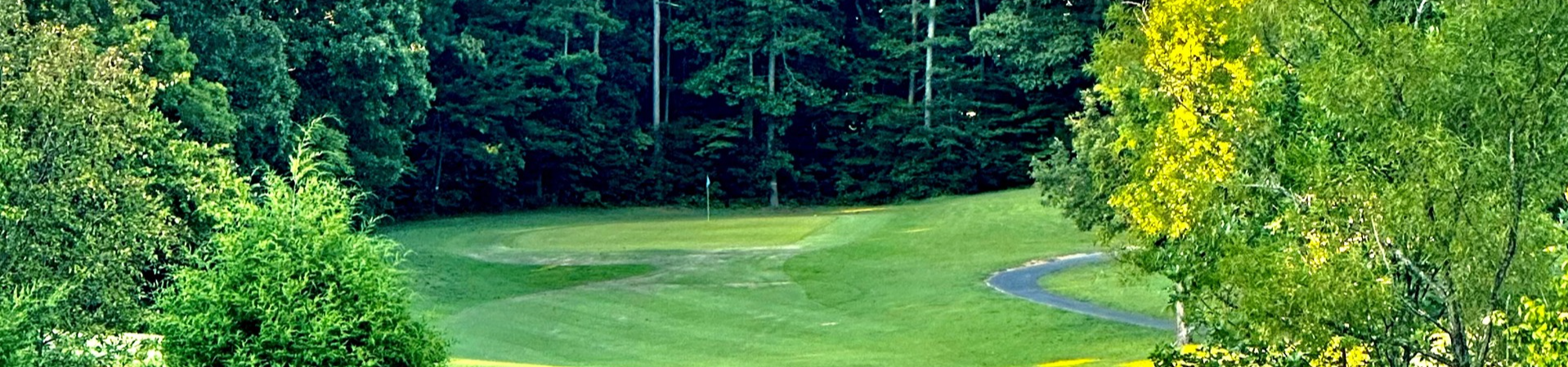 Image of golf ball on tee on grass.